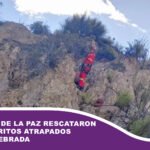 Bomberos de La Paz rescataron a seis perritos atrapados en una quebrada