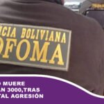 Un perro muere en el plan 3000,tras una brutal agresión
