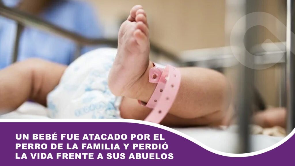 Un bebé fue atacado por el perro de la familia y perdió la vida frente a sus abuelos