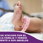 Un bebé fue atacado por el perro de la familia y perdió la vida frente a sus abuelos