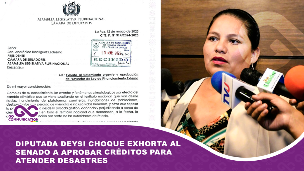 Diputada Deysi Choque exhorta al Senado a aprobar créditos para atender desastres