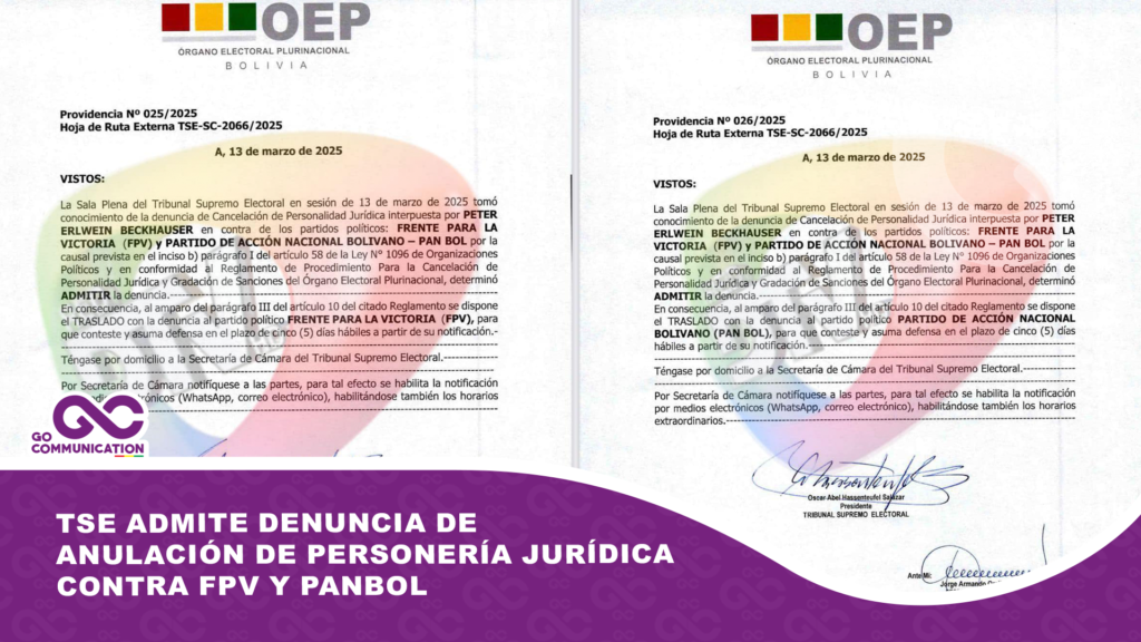 TSE admite denuncia de anulación de personería jurídica contra FPV y PANBOL