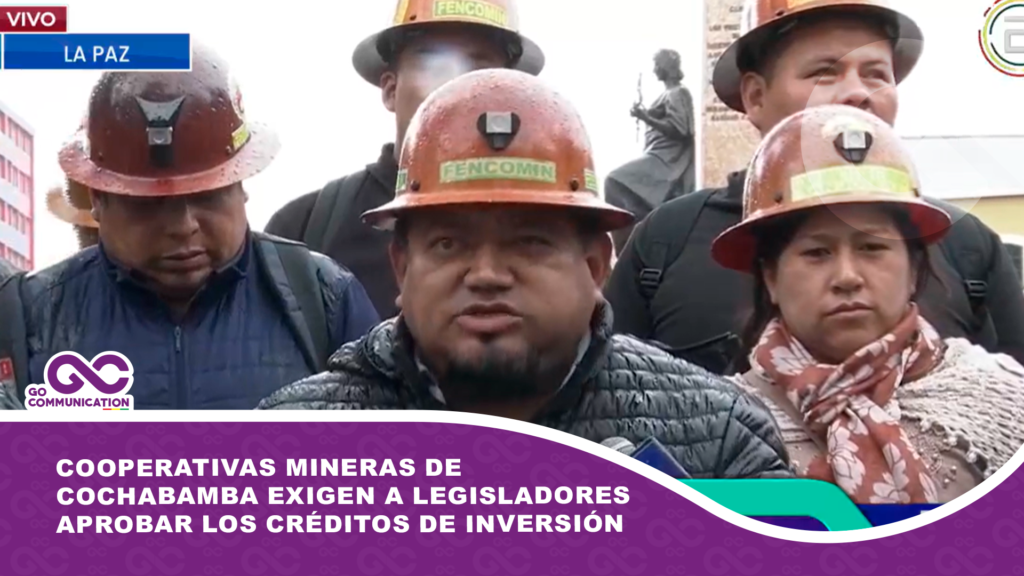 Cooperativas Mineras de Cochabamba exigen a legisladores aprobar los créditos de inversión