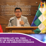 Diputados aprueba ley del TREP, suspende ley de debate electoral y tratamiento de los créditos externos