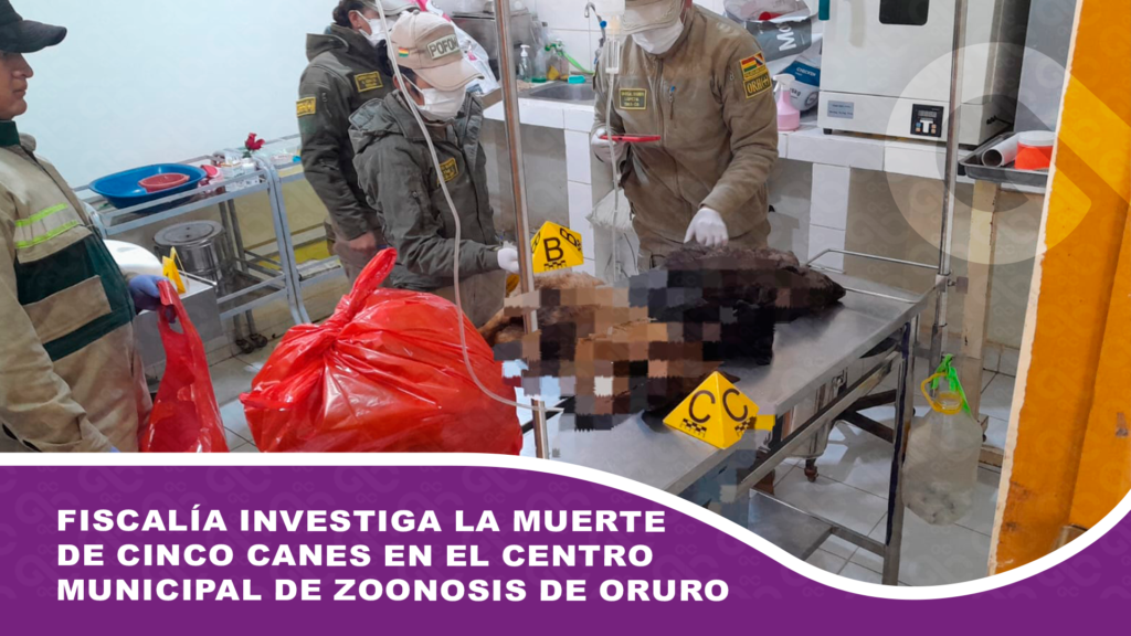 Fiscalía investiga la muerte de cinco canes en el Centro Municipal de Zoonosis de Oruro