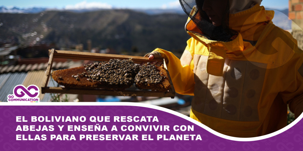 El boliviano que rescata abejas y enseña a convivir con ellas para preservar el planeta