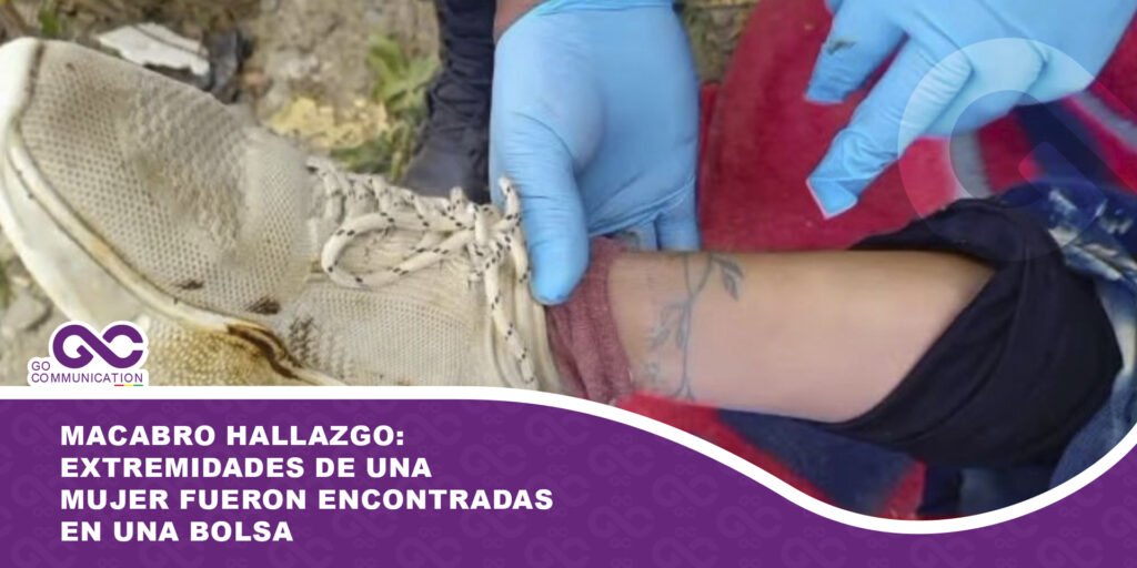 Macabro hallazgo: Extremidades de una mujer fueron encontradas en una bolsa