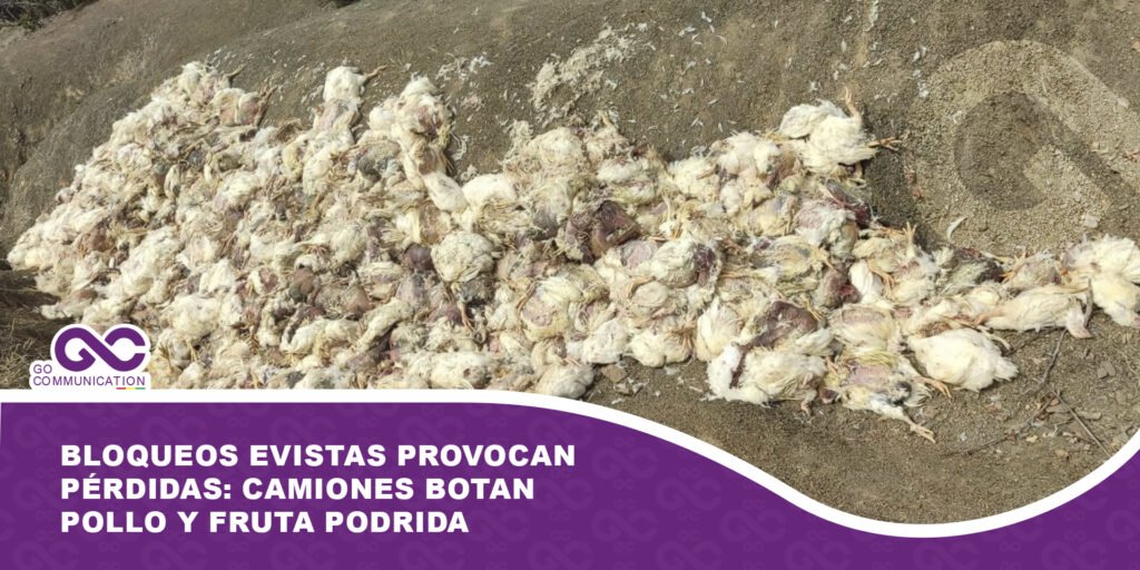 Bloqueos evistas provocan pérdidas: camiones botan pollo y fruta podrida