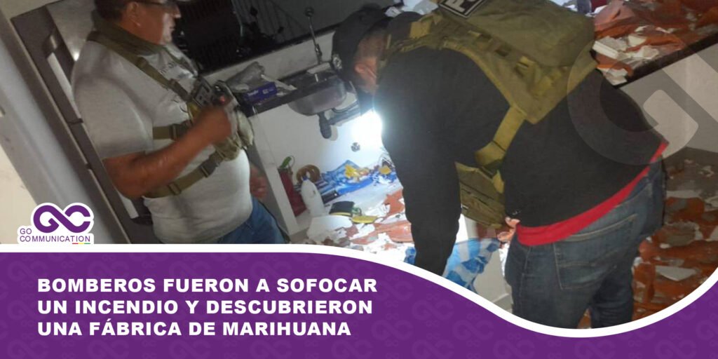 Bomberos fueron a sofocar un incendio y descubrieron una fábrica de marihuana