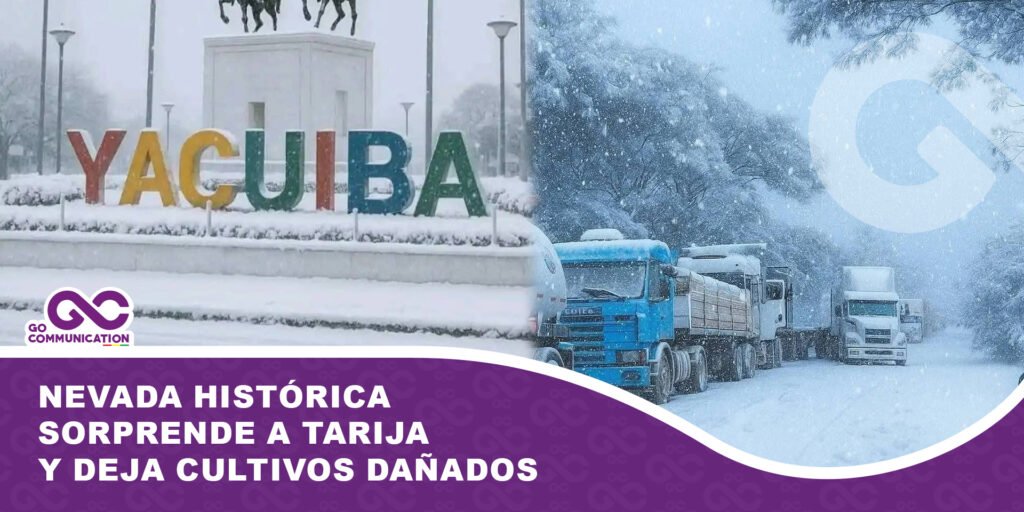 Nevada histórica sorprende a Tarija y deja cultivos dañados