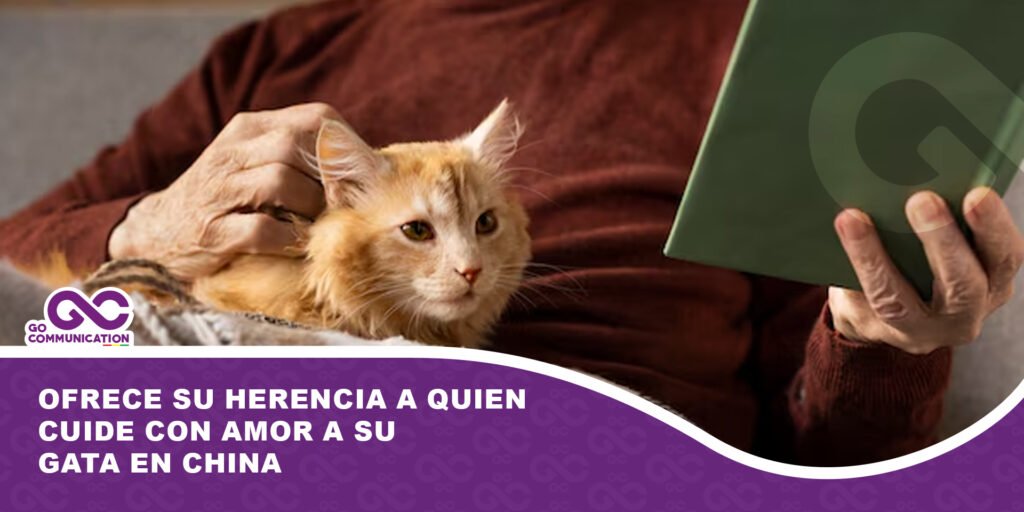 Ofrece su herencia a quien cuide con amor a su gata en China