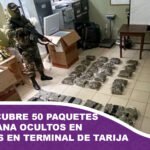 FELCN descubre 50 paquetes de marihuana ocultos en frigobares en terminal de Tarija