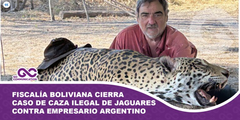 Fiscalía boliviana cierra caso de caza ilegal de jaguares contra empresario argentino