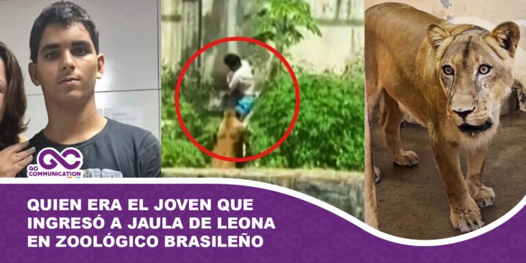 Quien era el joven que ingresó a jaula de leona en zoológico brasileño