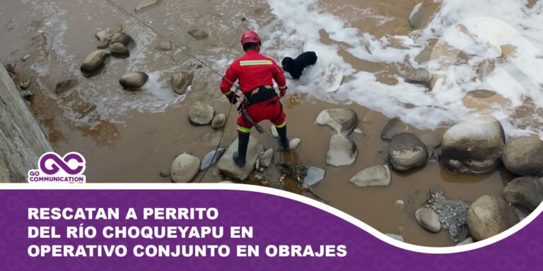 Rescatan a perrito del río Choqueyapu en operativo conjunto en Obrajes
