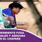 Gobierno desmiente fuga de Evo Morales y asegura que está en el Chapare