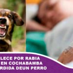Niña fallece por rabia humana en Cochabamba tras ser mordida por un perro