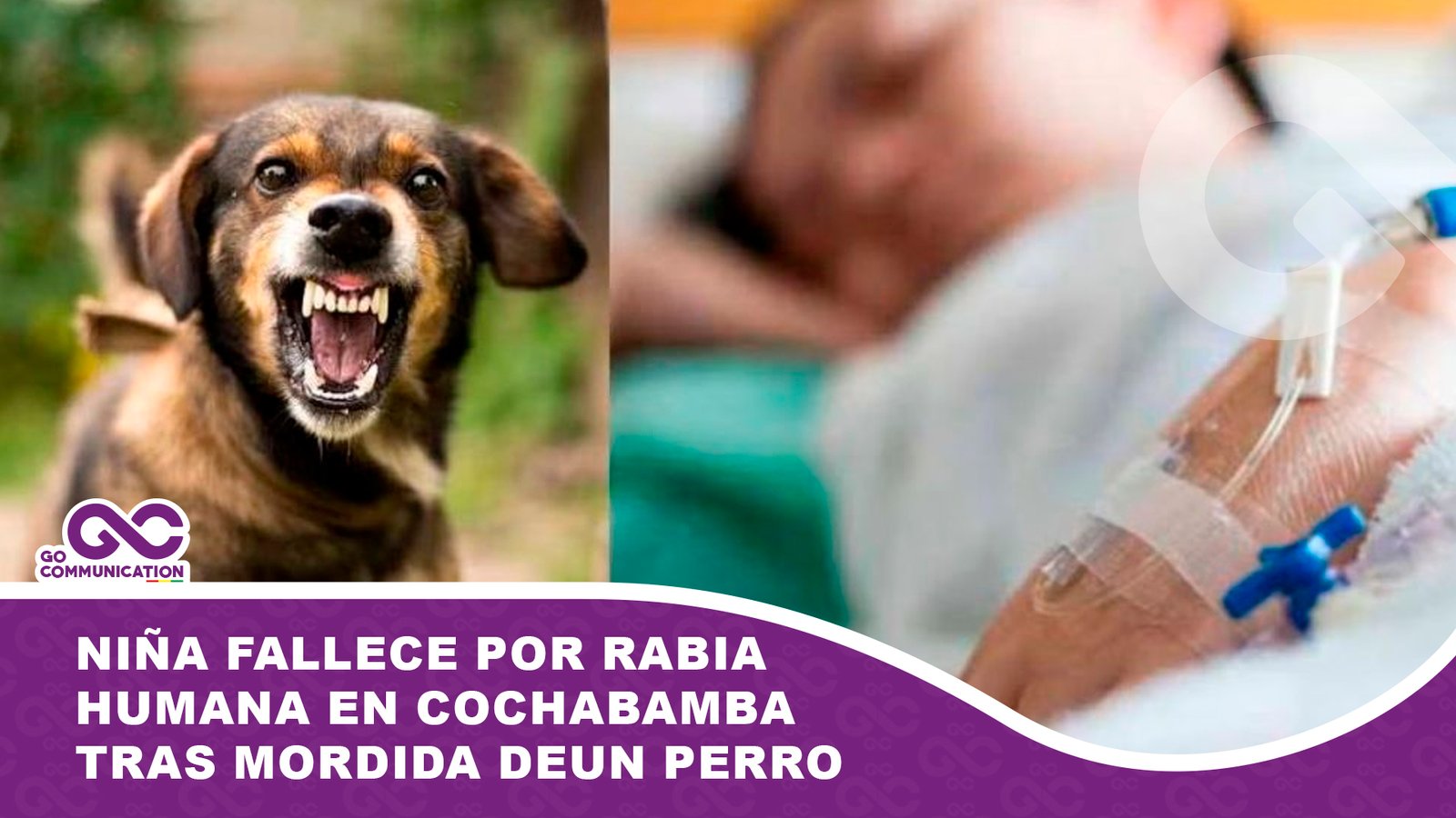 Niña fallece por rabia humana en Cochabamba tras ser mordida por un perro
