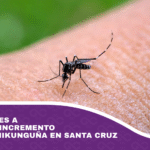Analizan clases a distancia por incremento de casos de chikunguña en Santa Cruz