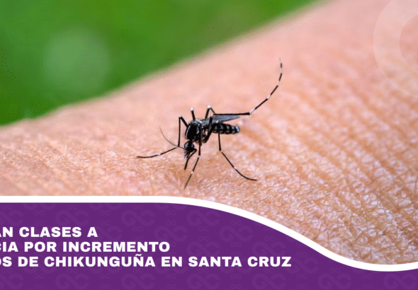 Analizan clases a distancia por incremento de casos de chikunguña en Santa Cruz