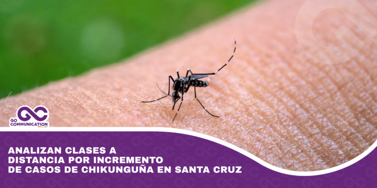 Analizan clases a distancia por incremento de casos de chikunguña en Santa Cruz
