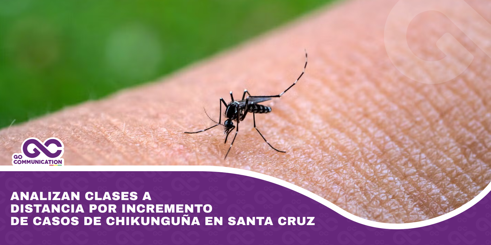 Analizan clases a distancia por incremento de casos de chikunguña en Santa Cruz
