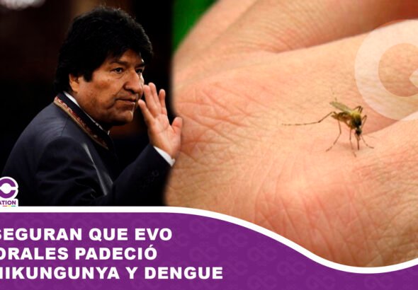 Aseguran que Evo Morales padeció chikungunya y dengue