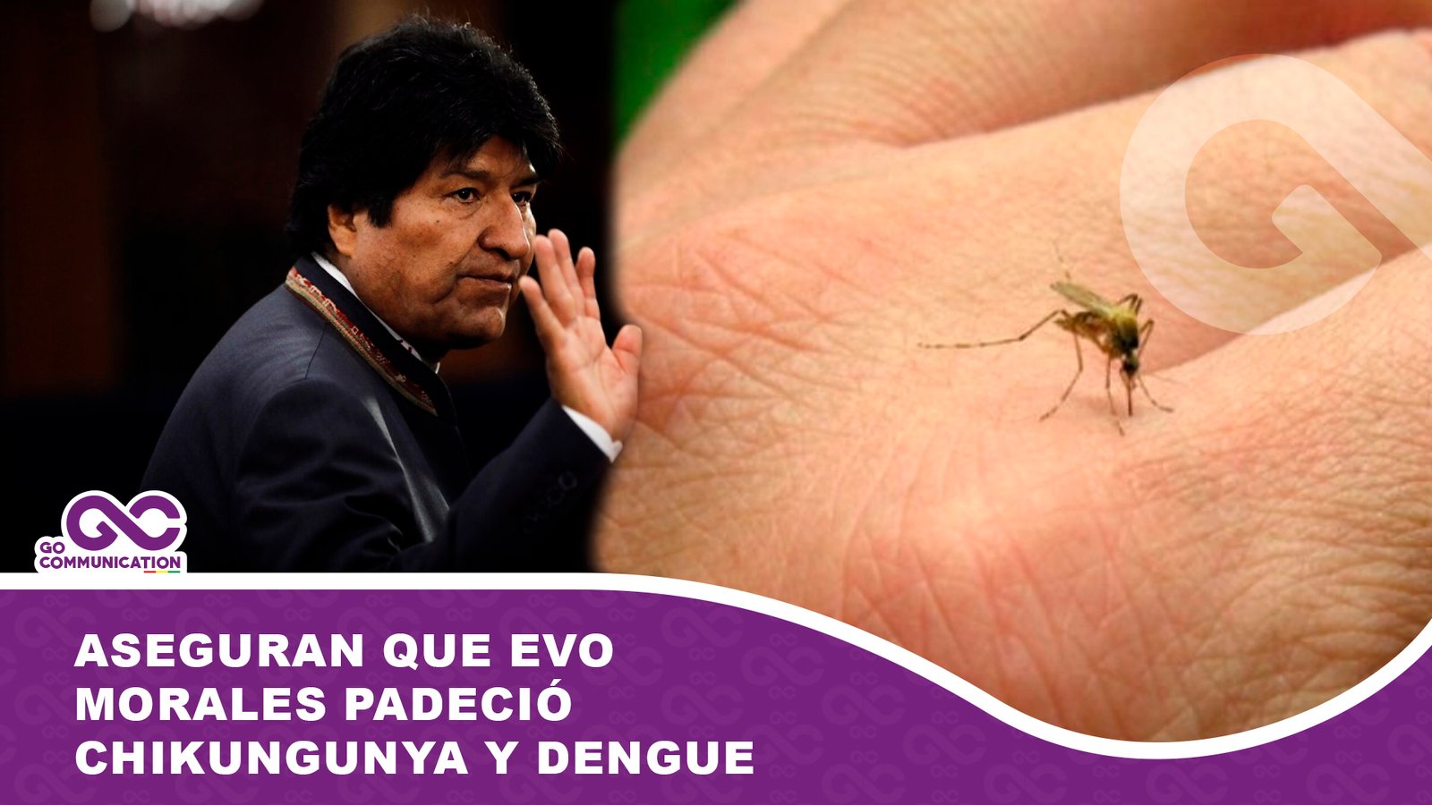 Aseguran que Evo Morales padeció chikungunya y dengue