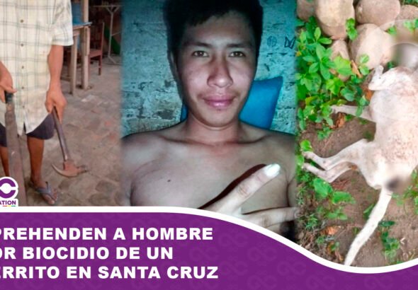 Aprehenden a hombre por biocidio de un perro en Santa Cruz