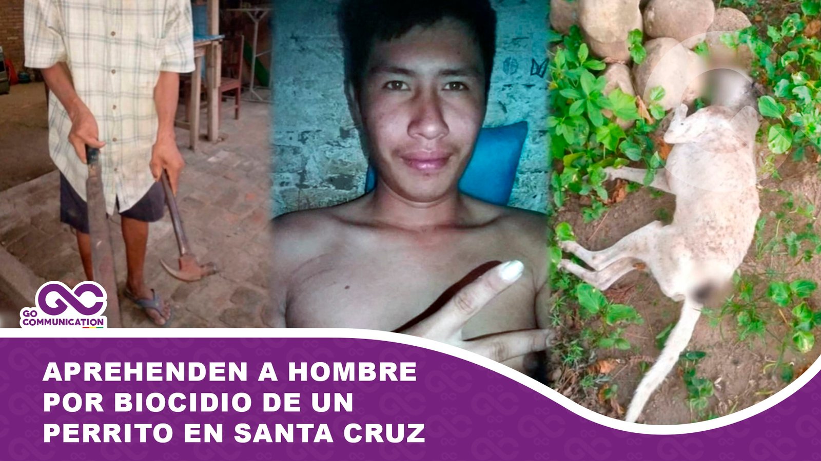 Aprehenden a hombre por biocidio de un perro en Santa Cruz