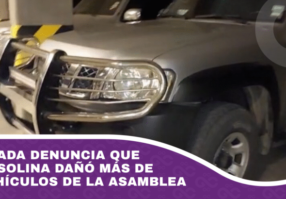 Diputada denuncia que la gasolina dañó más de 20 vehículos de la Asamblea