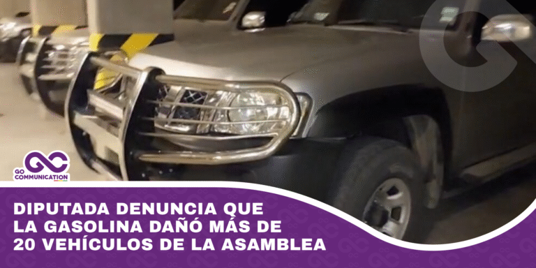 Diputada denuncia que la gasolina dañó más de 20 vehículos de la Asamblea