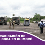 Inicia la erradicación de cultivos de coca en Chimoré