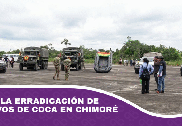 Inicia la erradicación de cultivos de coca en Chimoré