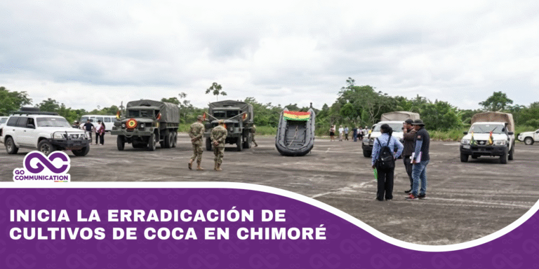 Inicia la erradicación de cultivos de coca en Chimoré