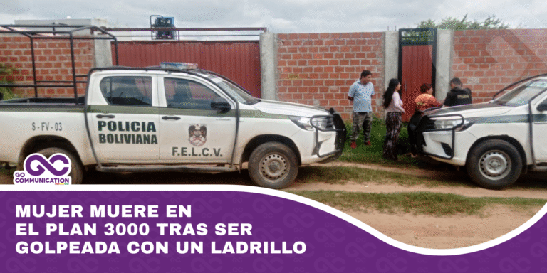 Mujer muere en el Plan 3000 tras ser golpeada con un ladrillo