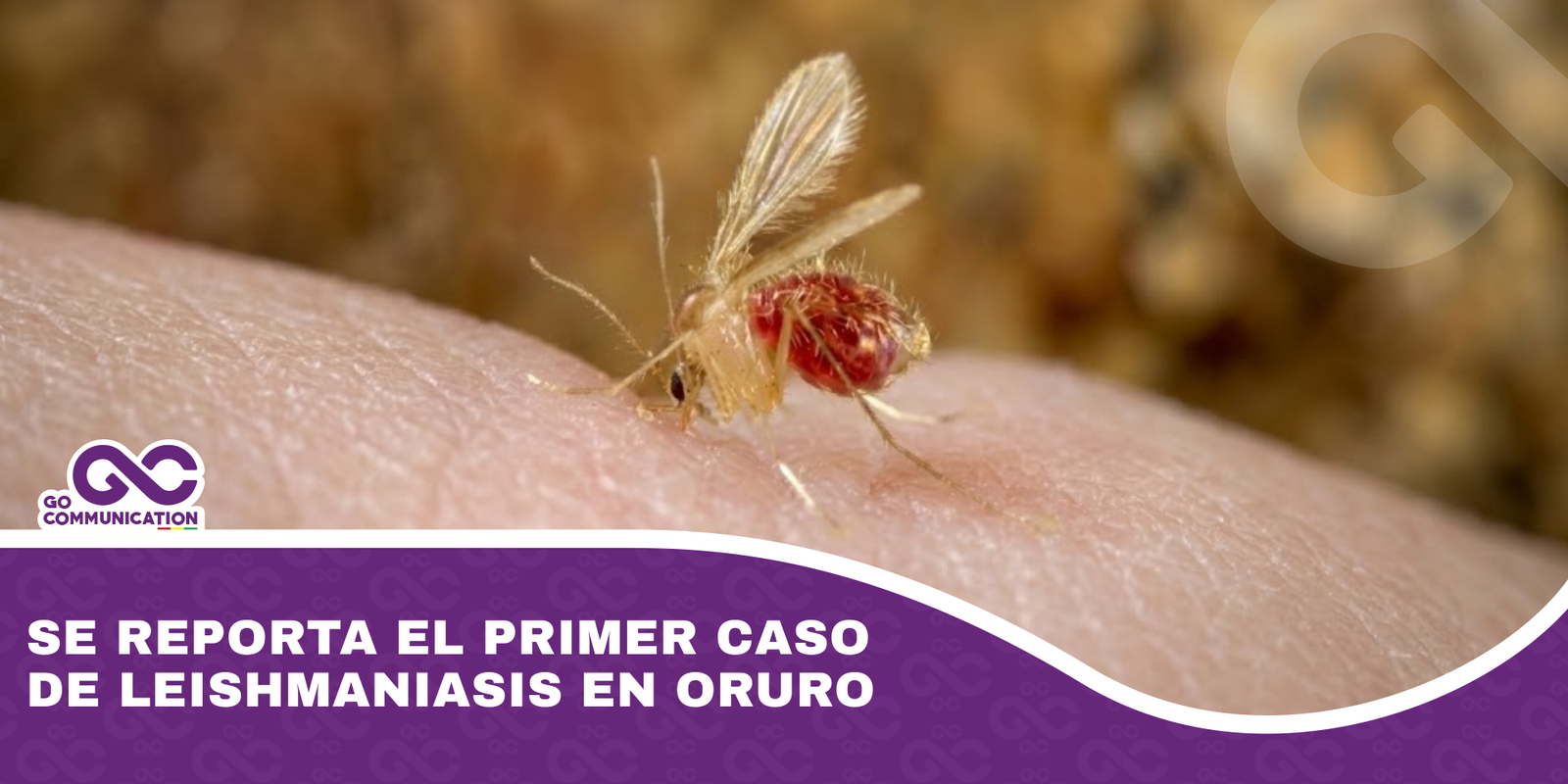 Se reporta el primer caso de leishmaniasis en Oruro