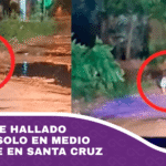 Un bebé fue hallado gateando solo en medio de la calle en Santa Cruz