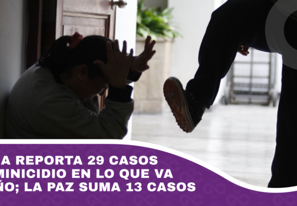 Bolivia reporta 29 casos de feminicidio en lo que va del año; La Paz suma 13 casos