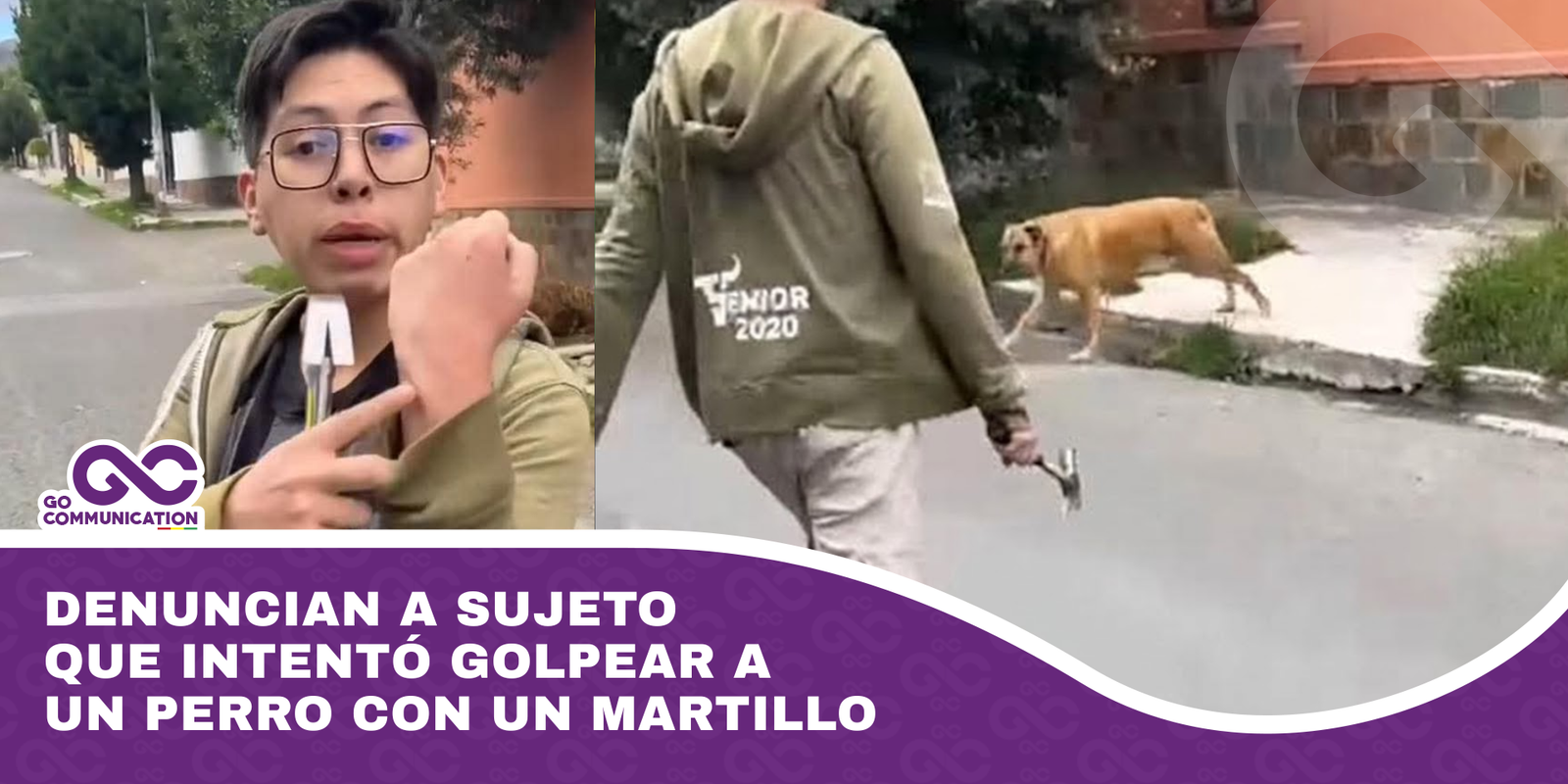 Denuncian a sujeto que intentó golpear a un perro con un martillo