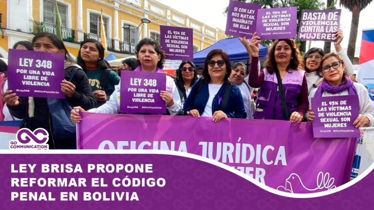 Ley Brisa propone reformar el Código Penal en Bolivia