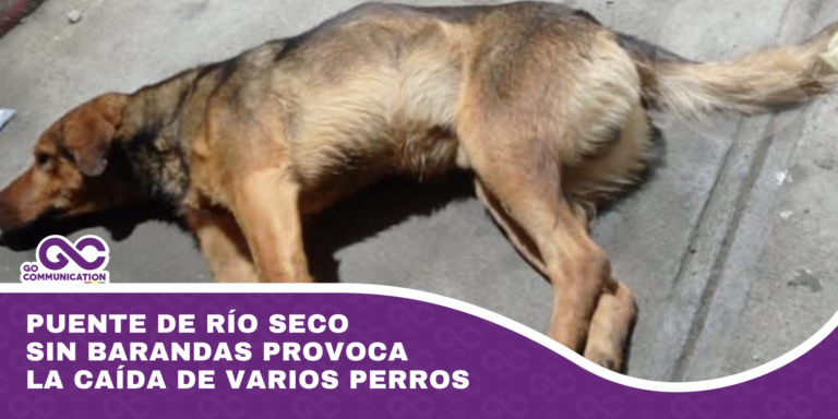 Puente de Río Seco sin barandas provoca la caída de varios perros