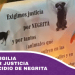 Realizan vigilia para exigir justicia por el biocidio de Negrita