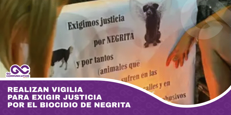 Realizan vigilia para exigir justicia por el biocidio de Negrita