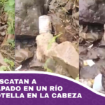 Vecinos rescatan a perro atrapado en un río con una botella en la cabeza