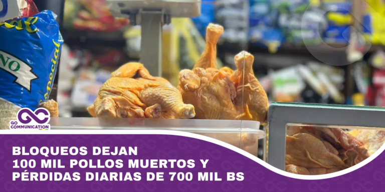 Bloqueos dejan 100 mil pollos muertos y pérdidas diarias de 700 mil Bs