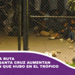 Bloqueos en la ruta Cochabamba - Santa Cruz aumentan tras el apagón que hubo en el trópico