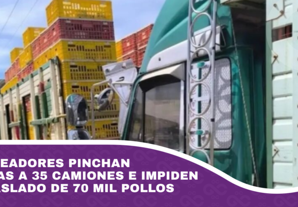 Bloqueadores pinchan llantas a 35 camiones e impiden el traslado de 70 mil pollos