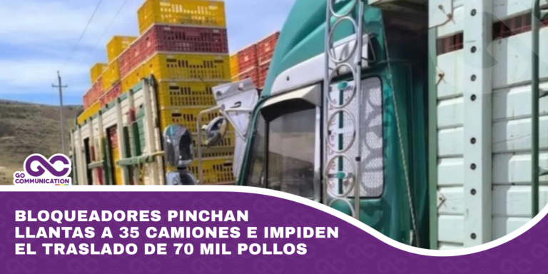 Bloqueadores pinchan llantas a 35 camiones e impiden el traslado de 70 mil pollos