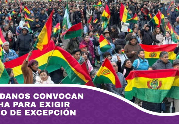 Ciudadanos convocan marcha para exigir Estado de Excepción